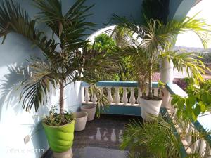 elizz guest house