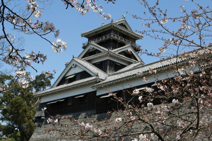andand comfy hotel kumamotojo view