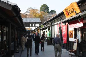 andand comfy hotel kumamotojo view