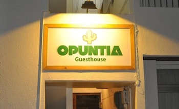 guesthouse opuntia hostel