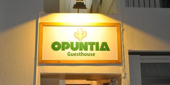 guesthouse opuntia hostel