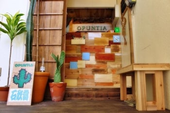guesthouse opuntia hostel