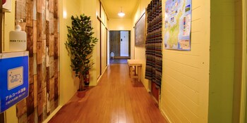 guesthouse opuntia hostel