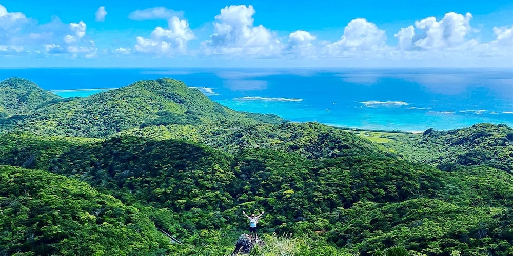 guesthouse opuntia hostel