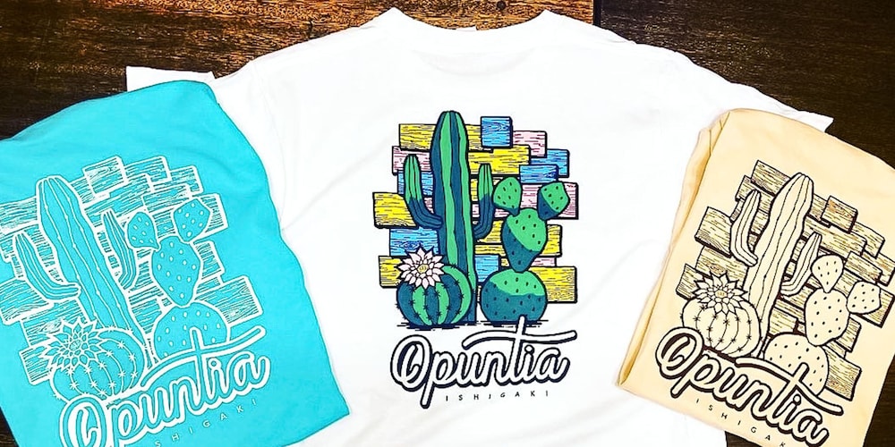 guesthouse opuntia hostel