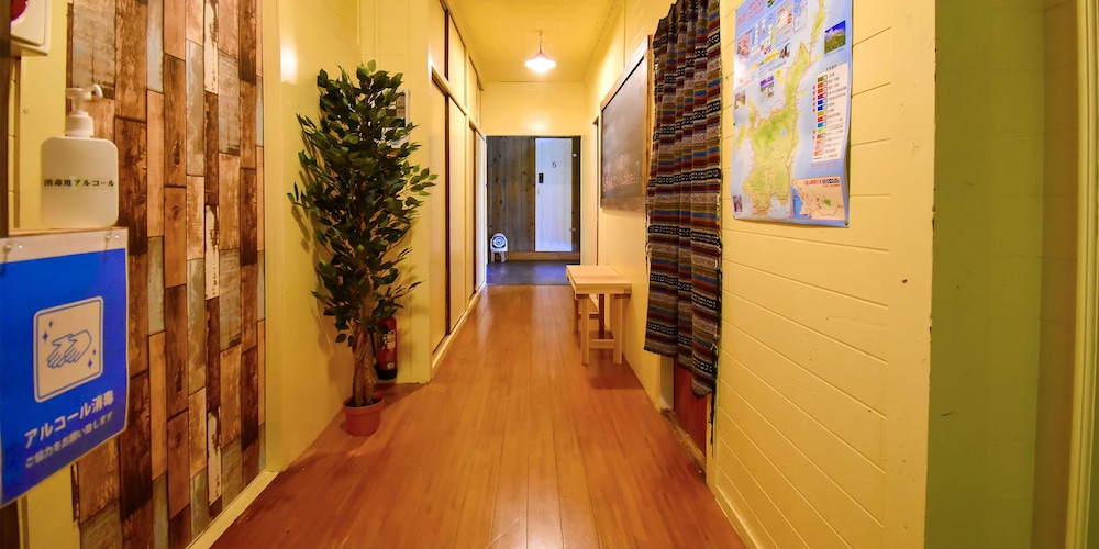 guesthouse opuntia hostel