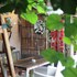 arjuna garden homestay hostel