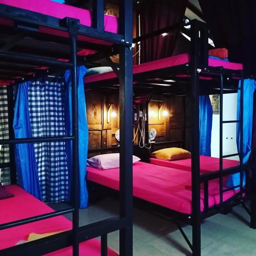 arjuna garden homestay hostel