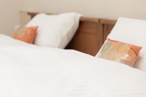 stay sakura kyoto nijo rikyu