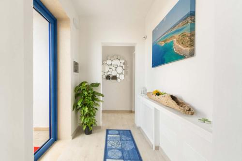 bandb dreams and delights