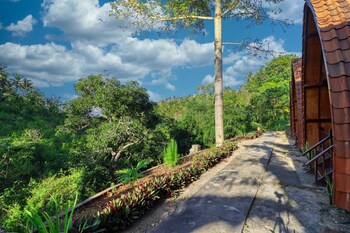 butterfly bungalows