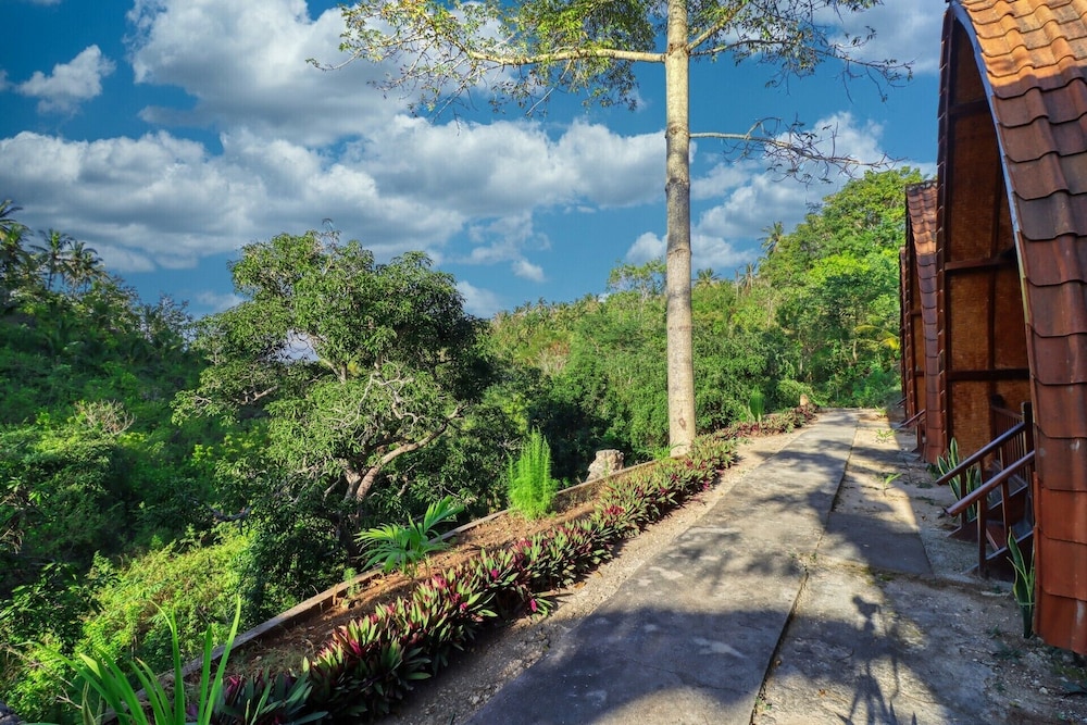 butterfly bungalows