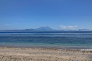 the peace arta bungalow