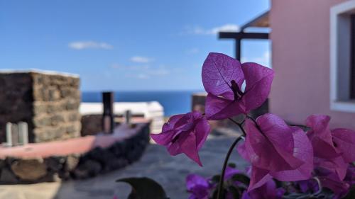 horizon pantelleria