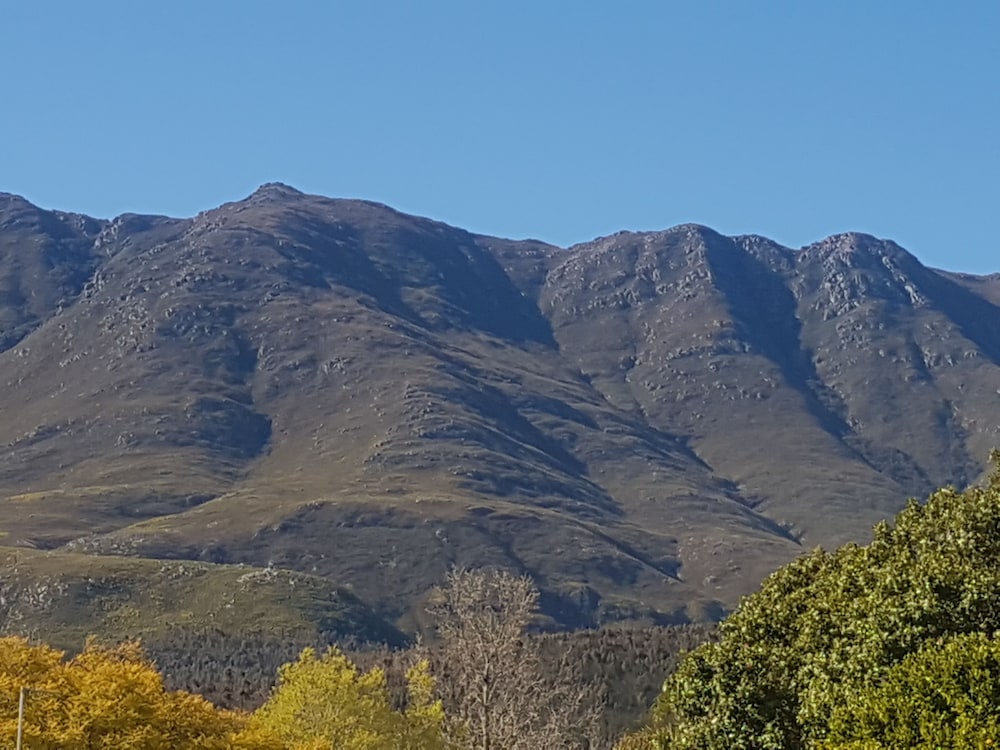 the view swellendam