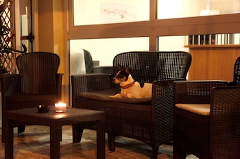 hotel alfa nuova gestione 2023