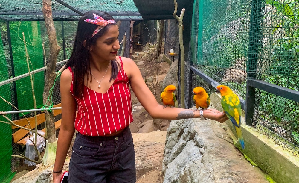 arangala forest lodge