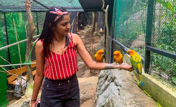 arangala forest lodge