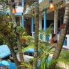 kismet rest mirissa