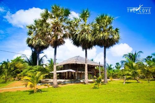 the cove pasikuda