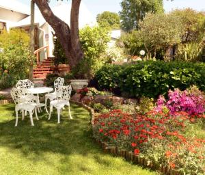 van dykshuis guest house