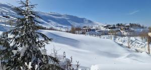 mzaar kfardebian