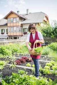 gasthof albergo dolomiten