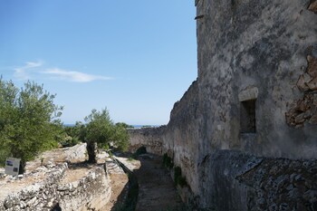 monopoli