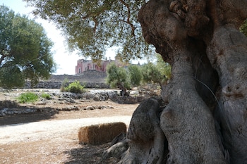 monopoli
