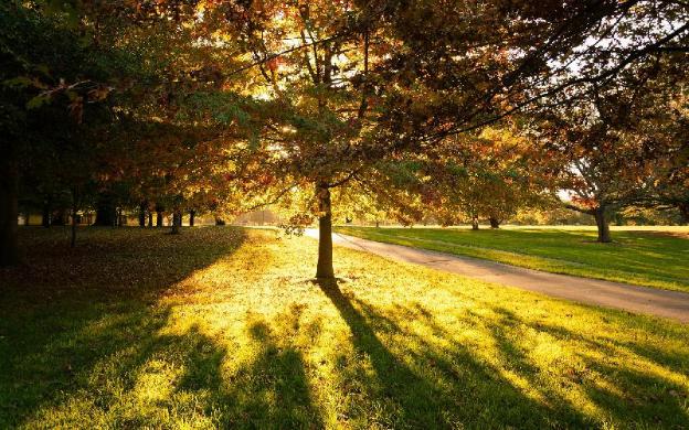 christchurch