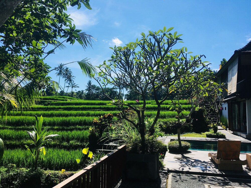 puri raya villa ubud