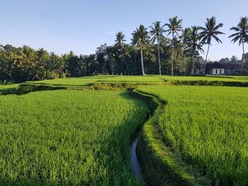 puri raya villa ubud