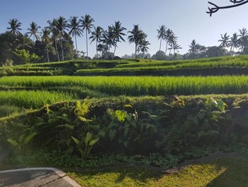 puri raya villa ubud