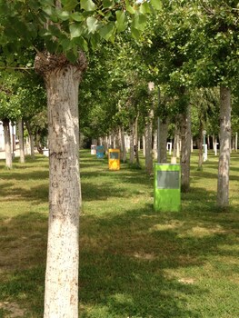 campingandresidence il pioppeto