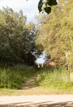 campingandresidence il pioppeto
