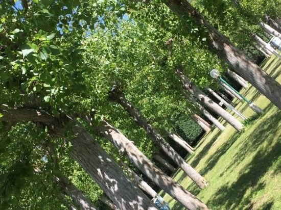 campingandresidence il pioppeto