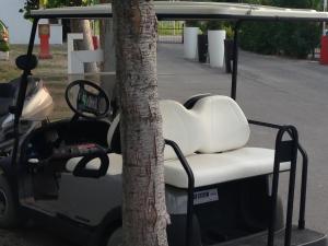 campingandresidence il pioppeto