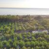 campingandresidence il pioppeto