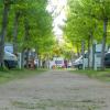 campingandresidence il pioppeto