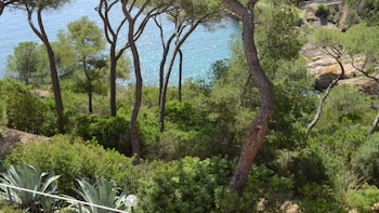 rio marina