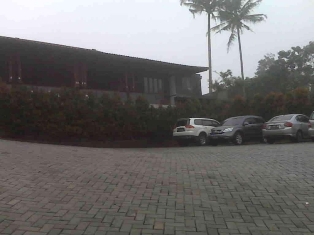 jimmers mountain resort