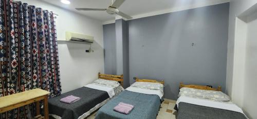 david hostel