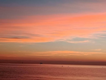bari