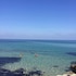 bari