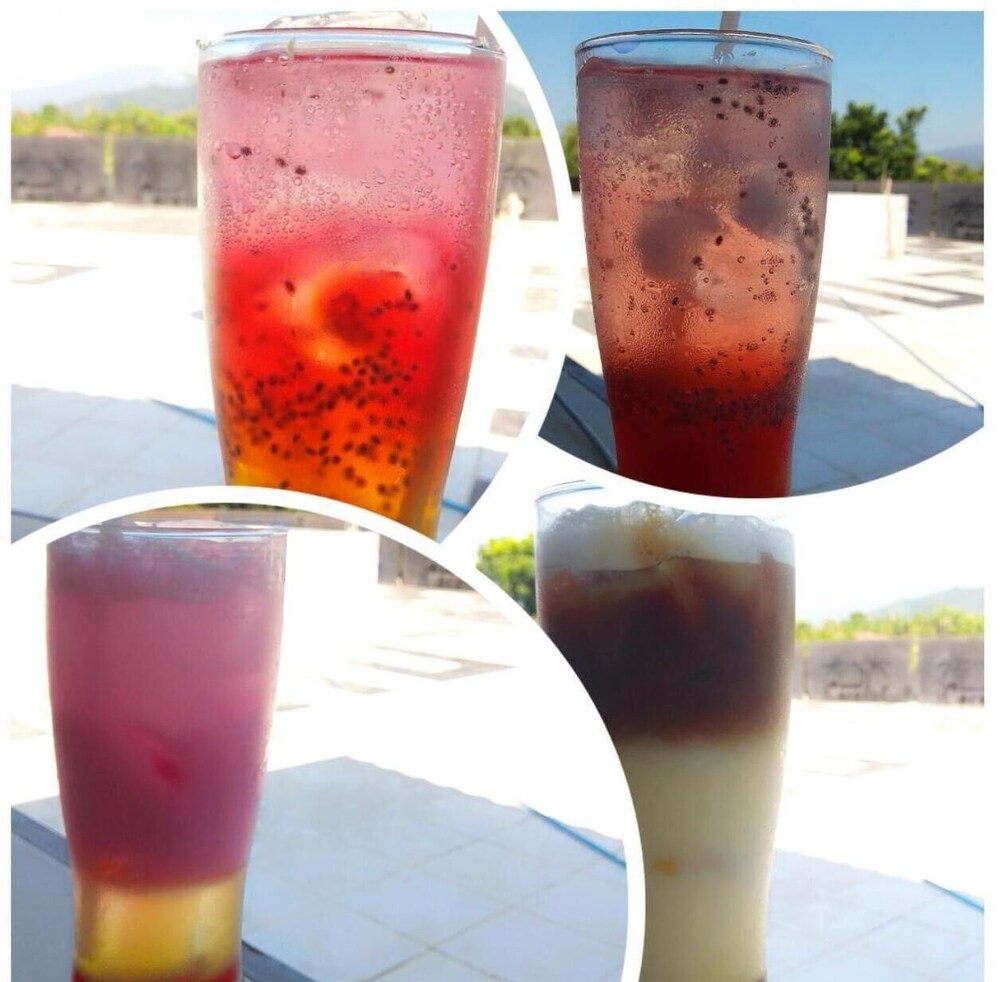 coconut hotel hostel