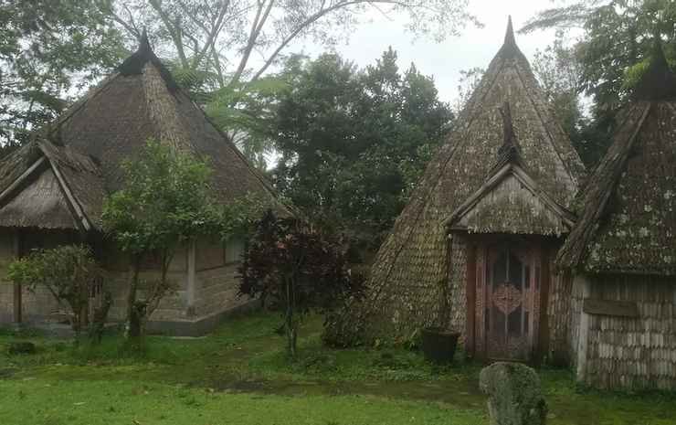 kintamani