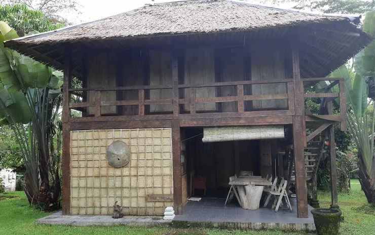 kintamani