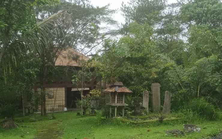 kintamani