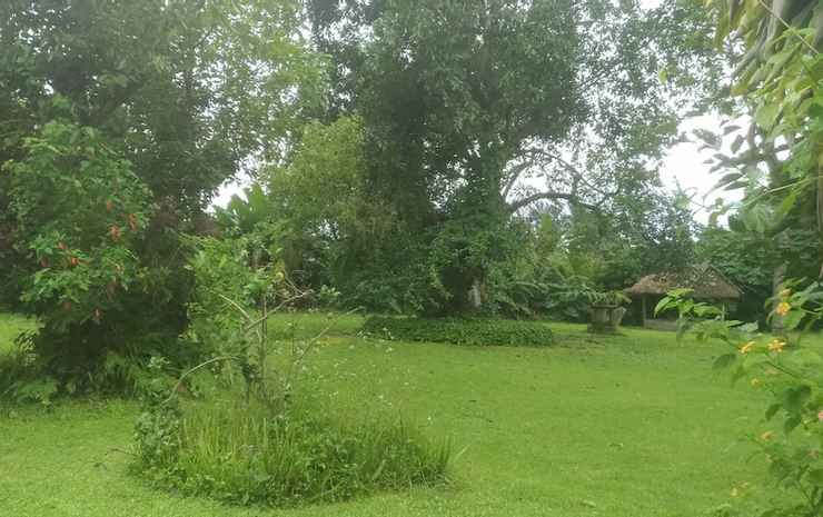 kintamani