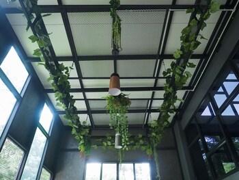 the nest hotel by ploy